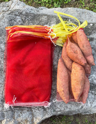 Plastic Mesh Bag Market and Application Industries-2